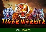 Tiger Warrior - JPMAXWIN188